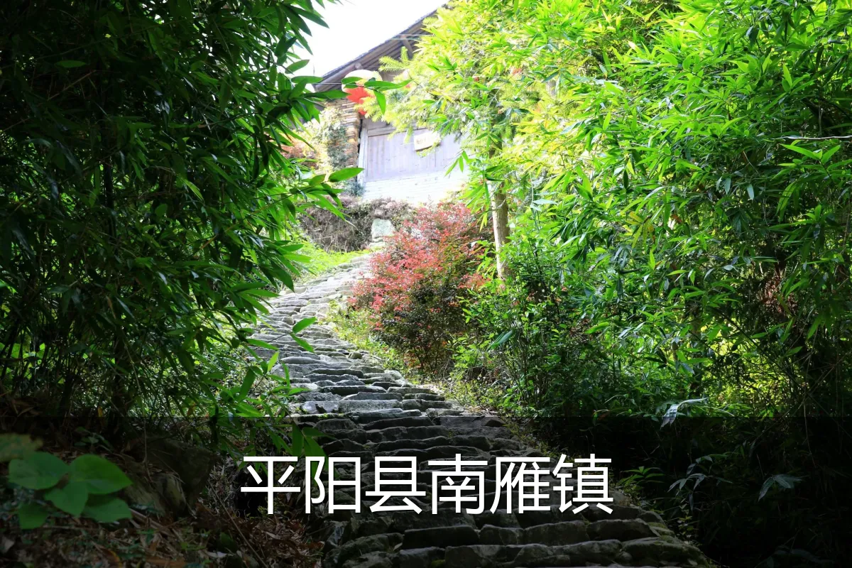 平阳县南雁镇