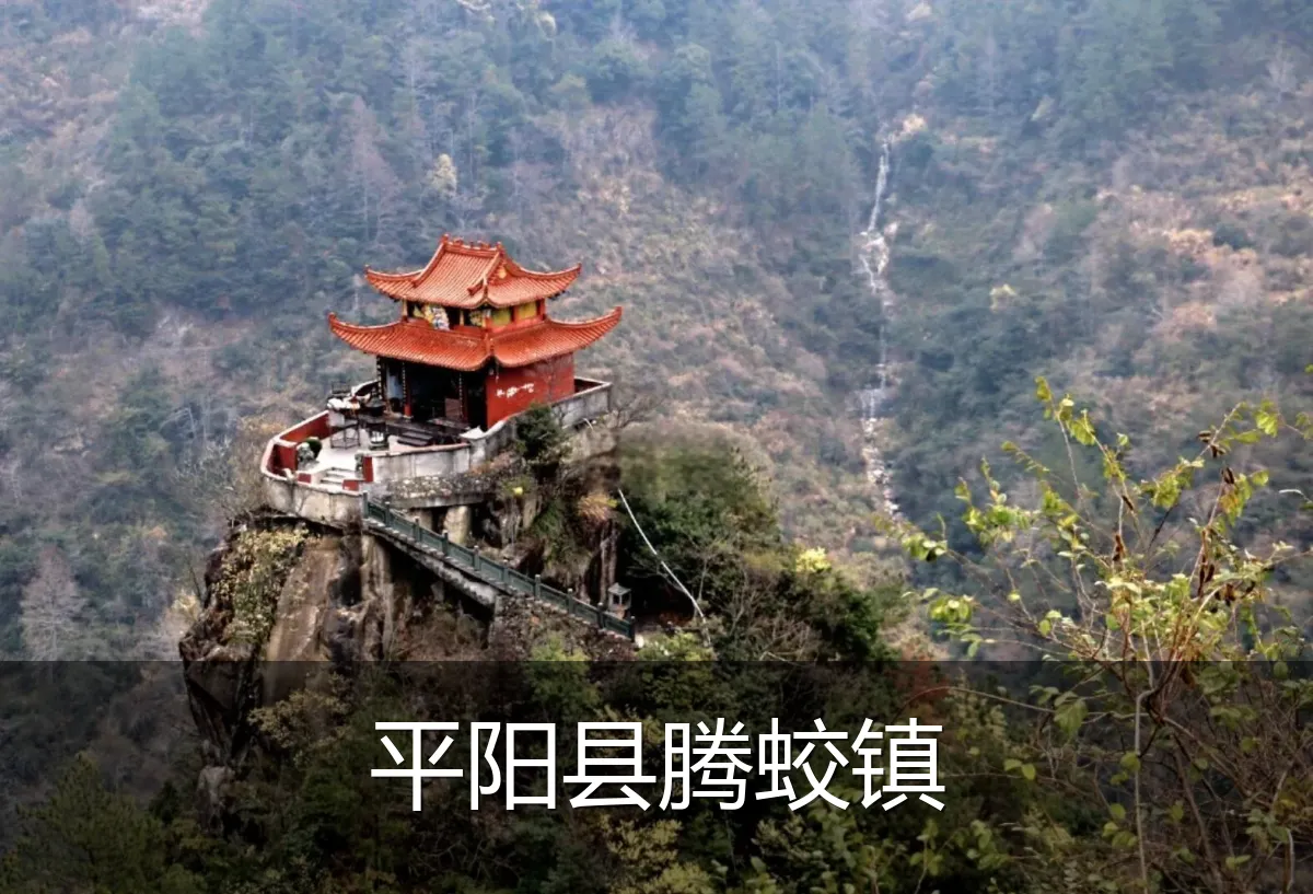 平阳县腾蛟镇