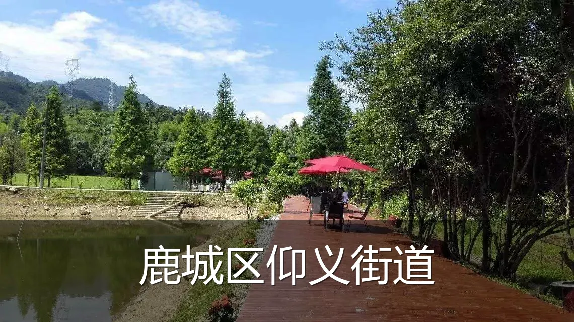 鹿城区仰义街道