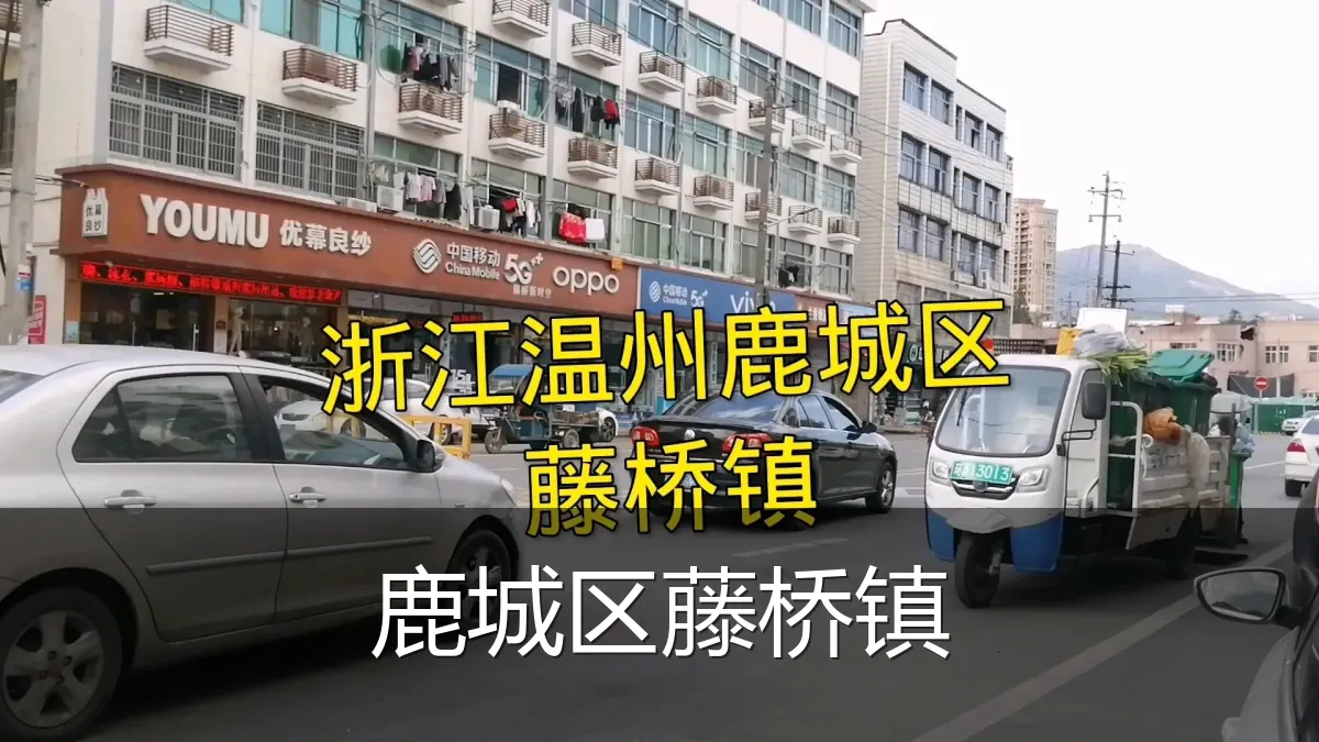 鹿城区藤桥镇